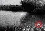Image of Katyn massacre mass grave site Soviet Union, 1943, second 14 stock footage video 65675080536