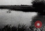 Image of Katyn massacre mass grave site Soviet Union, 1943, second 15 stock footage video 65675080536