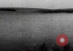 Image of Katyn massacre mass grave site Soviet Union, 1943, second 20 stock footage video 65675080536