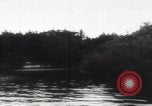 Image of Katyn massacre mass grave site Soviet Union, 1943, second 33 stock footage video 65675080536