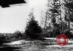 Image of Katyn massacre mass grave site Soviet Union, 1943, second 41 stock footage video 65675080536