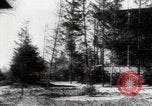 Image of Katyn massacre mass grave site Soviet Union, 1943, second 44 stock footage video 65675080536