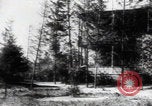 Image of Katyn massacre mass grave site Soviet Union, 1943, second 45 stock footage video 65675080536