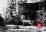 Image of Katyn massacre mass grave site Soviet Union, 1943, second 46 stock footage video 65675080536