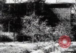 Image of Katyn massacre mass grave site Soviet Union, 1943, second 50 stock footage video 65675080536