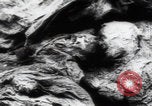 Immagine di Vittime del massacro di Katyn Unione Sovietica, 1943, secondo 1 filmato di repertorio 65675080537