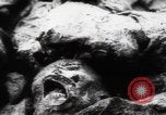Immagine di Vittime del massacro di Katyn Unione Sovietica, 1943, secondo 4 filmato di repertorio 65675080537