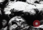 Immagine di Vittime del massacro di Katyn Unione Sovietica, 1943, secondo 5 filmato di repertorio 65675080537