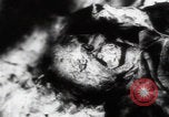 Immagine di Vittime del massacro di Katyn Unione Sovietica, 1943, secondo 6 filmato di repertorio 65675080537