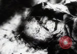 Immagine di Vittime del massacro di Katyn Unione Sovietica, 1943, secondo 7 filmato di repertorio 65675080537