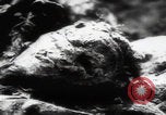 Immagine di Vittime del massacro di Katyn Unione Sovietica, 1943, secondo 9 filmato di repertorio 65675080537