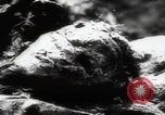 Immagine di Vittime del massacro di Katyn Unione Sovietica, 1943, secondo 10 filmato di repertorio 65675080537