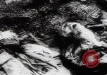 Immagine di Vittime del massacro di Katyn Unione Sovietica, 1943, secondo 13 filmato di repertorio 65675080537