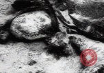 Immagine di Vittime del massacro di Katyn Unione Sovietica, 1943, secondo 17 filmato di repertorio 65675080537
