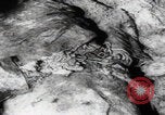 Immagine di Vittime del massacro di Katyn Unione Sovietica, 1943, secondo 21 filmato di repertorio 65675080537