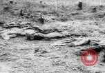 Immagine di Vittime del massacro di Katyn Unione Sovietica, 1943, secondo 26 filmato di repertorio 65675080537