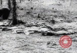 Immagine di Vittime del massacro di Katyn Unione Sovietica, 1943, secondo 28 filmato di repertorio 65675080537