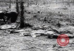 Immagine di Vittime del massacro di Katyn Unione Sovietica, 1943, secondo 29 filmato di repertorio 65675080537