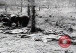 Immagine di Vittime del massacro di Katyn Unione Sovietica, 1943, secondo 30 filmato di repertorio 65675080537