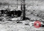 Immagine di Vittime del massacro di Katyn Unione Sovietica, 1943, secondo 31 filmato di repertorio 65675080537