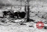 Immagine di Vittime del massacro di Katyn Unione Sovietica, 1943, secondo 32 filmato di repertorio 65675080537