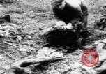 Immagine di Vittime del massacro di Katyn Unione Sovietica, 1943, secondo 34 filmato di repertorio 65675080537