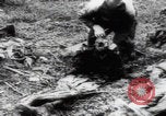 Immagine di Vittime del massacro di Katyn Unione Sovietica, 1943, secondo 36 filmato di repertorio 65675080537