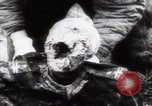 Immagine di Vittime del massacro di Katyn Unione Sovietica, 1943, secondo 37 filmato di repertorio 65675080537