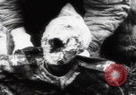 Immagine di Vittime del massacro di Katyn Unione Sovietica, 1943, secondo 38 filmato di repertorio 65675080537