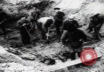 Immagine di Vittime del massacro di Katyn Unione Sovietica, 1943, secondo 46 filmato di repertorio 65675080537