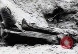 Immagine di Vittime del massacro di Katyn Unione Sovietica, 1943, secondo 53 filmato di repertorio 65675080537