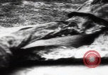 Immagine di Vittime del massacro di Katyn Unione Sovietica, 1943, secondo 55 filmato di repertorio 65675080537