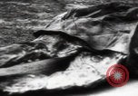 Immagine di Vittime del massacro di Katyn Unione Sovietica, 1943, secondo 57 filmato di repertorio 65675080537