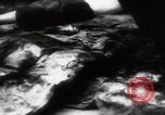 Immagine di Vittime del massacro di Katyn Unione Sovietica, 1943, secondo 61 filmato di repertorio 65675080537