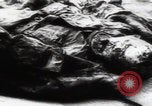 Immagine di Vittime del massacro di Katyn Unione Sovietica, 1943, secondo 62 filmato di repertorio 65675080537