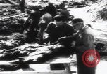 Immagine di Katyn massacro vittime autopsia Unione Sovietica, 1943, secondo 7 filmato di repertorio 65675080538