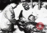 Immagine di Katyn massacro vittime autopsia Unione Sovietica, 1943, secondo 11 filmato di repertorio 65675080538