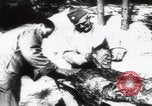 Immagine di Katyn massacro vittime autopsia Unione Sovietica, 1943, secondo 12 filmato di repertorio 65675080538