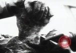 Immagine di Katyn massacro vittime autopsia Unione Sovietica, 1943, secondo 17 filmato di repertorio 65675080538