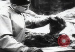 Immagine di Katyn massacro vittime autopsia Unione Sovietica, 1943, secondo 19 filmato di repertorio 65675080538