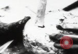 Immagine di Katyn massacro vittime autopsia Unione Sovietica, 1943, secondo 23 filmato di repertorio 65675080538