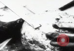 Immagine di Katyn massacro vittime autopsia Unione Sovietica, 1943, secondo 24 filmato di repertorio 65675080538