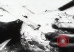 Immagine di Katyn massacro vittime autopsia Unione Sovietica, 1943, secondo 25 filmato di repertorio 65675080538