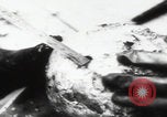 Immagine di Katyn massacro vittime autopsia Unione Sovietica, 1943, secondo 26 filmato di repertorio 65675080538