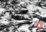 Immagine di Katyn massacro vittime autopsia Unione Sovietica, 1943, secondo 28 filmato di repertorio 65675080538