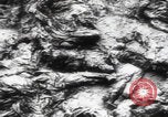 Immagine di Katyn massacro vittime autopsia Unione Sovietica, 1943, secondo 29 filmato di repertorio 65675080538