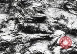 Immagine di Katyn massacro vittime autopsia Unione Sovietica, 1943, secondo 30 filmato di repertorio 65675080538