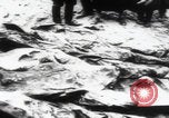 Immagine di Katyn massacro vittime autopsia Unione Sovietica, 1943, secondo 32 filmato di repertorio 65675080538