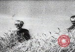 Immagine di Ricerca delle famiglie dei massacri di Katyn Unione Sovietica, 1943, secondo 6 filmato di repertorio 65675080539