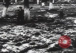 Immagine di Ricerca delle famiglie dei massacri di Katyn Unione Sovietica, 1943, secondo 51 filmato di repertorio 65675080539